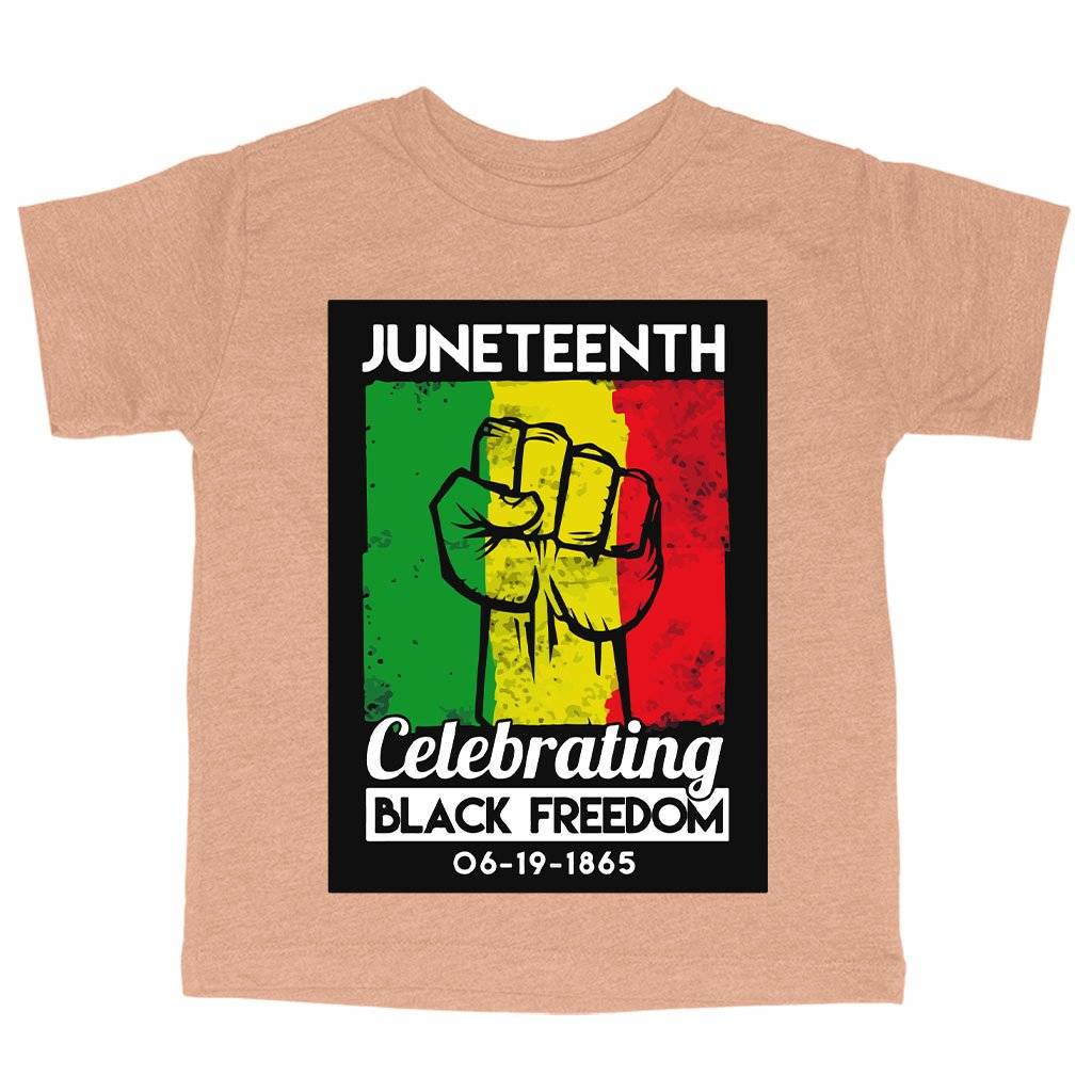 78872-25501f.jpeg Triblend Toddler Black American Celebrate Freedom T-Shirt - Vintage Juneteenth T-Shirt Kids & Baby Toddler Clothing Color : Ice Blue Triblend|Olive Triblend|Peach Triblend
