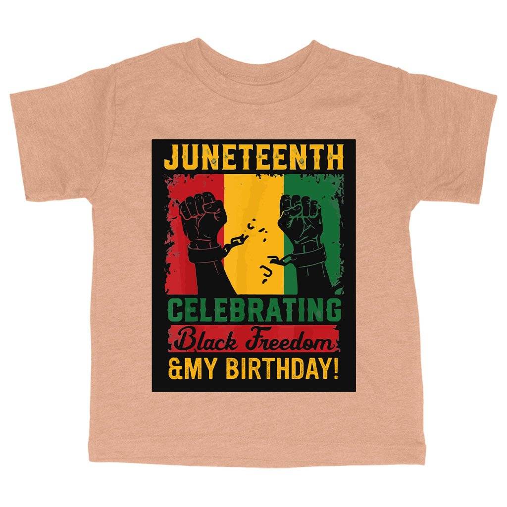 81102-24c1ef.jpeg Triblend Toddler Juneteenth Celebrating T-Shirt - Juneteenth Birthday T-Shirt Kids & Baby Toddler Clothing Color : Ice Blue Triblend|Olive Triblend|Peach Triblend