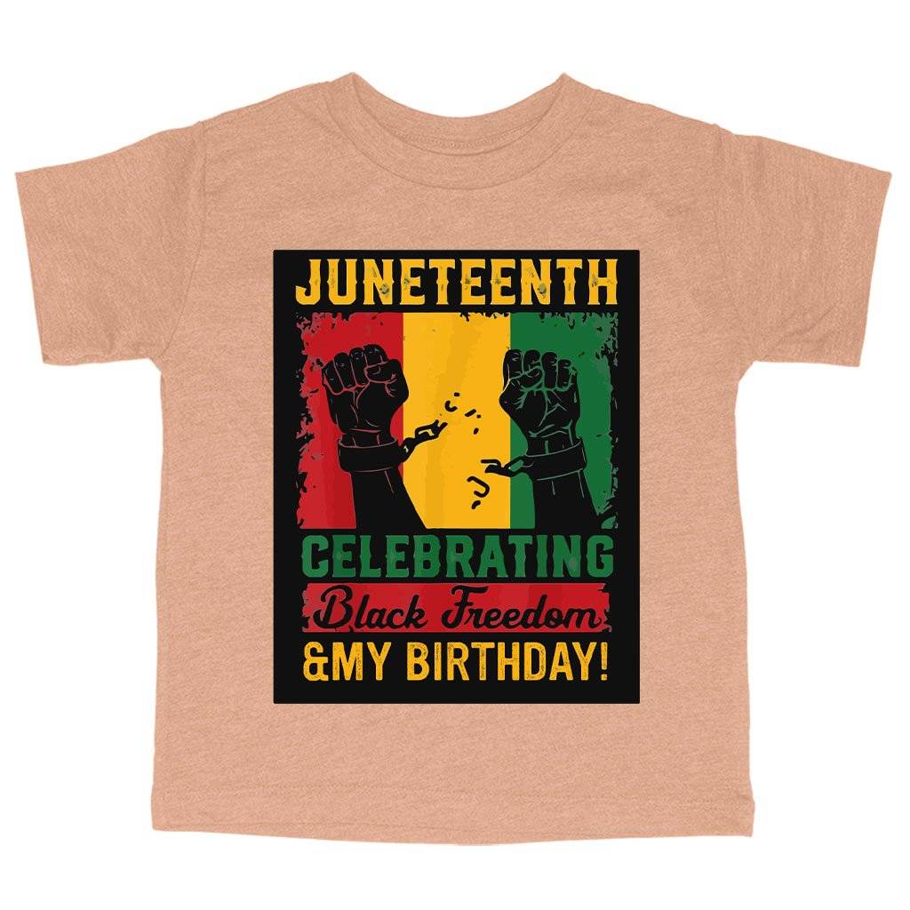 81102-67a965.jpeg Triblend Toddler Juneteenth Celebrating T-Shirt - Juneteenth Birthday T-Shirt Kids & Baby Toddler Clothing Color : Ice Blue Triblend|Olive Triblend|Peach Triblend
