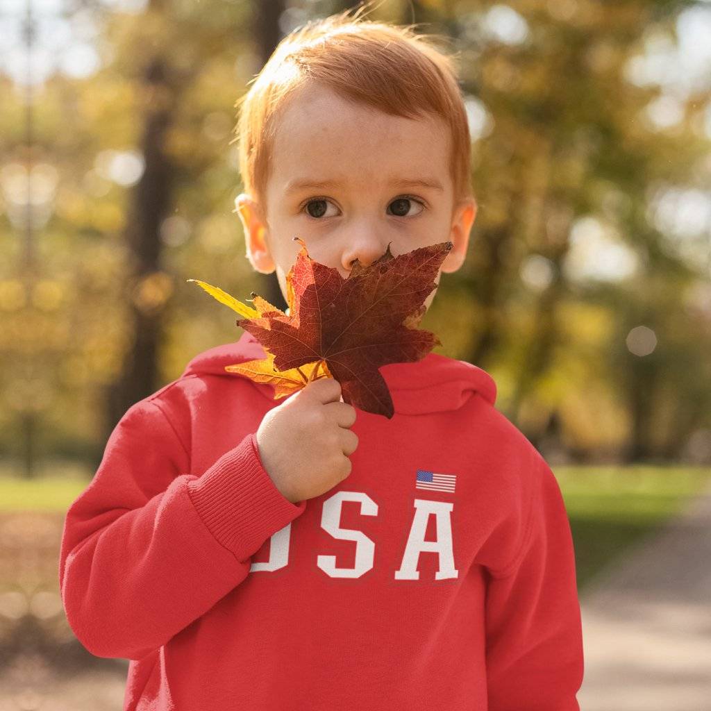 82267-f24694.jpg Toddler USA Hoodie Kids & Baby Toddler Clothing Color : Red|Turquoise|Black