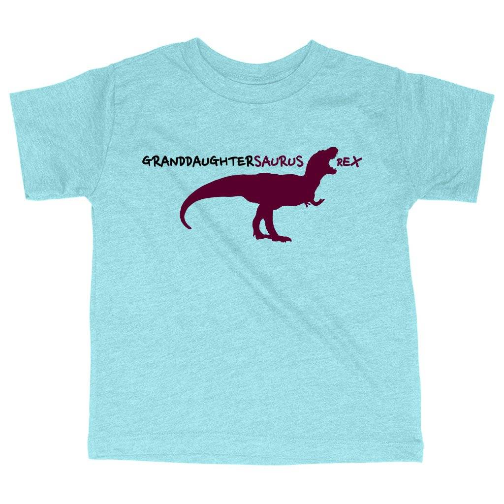 Triblend Toddler Granddaughtersaurus Rex T-Shirt – Granddaughter T-Shirts – Dinosaur T-Shirt Kids & Baby Toddler Clothing Triblend Toddler Granddaughtersaurus Rex T-Shirt - Granddaughter T-Shirts - Dinosaur T-Shirt Kids & Baby Toddler Clothing Color : Ice Blue Triblend|Peach Triblend|Olive Triblend